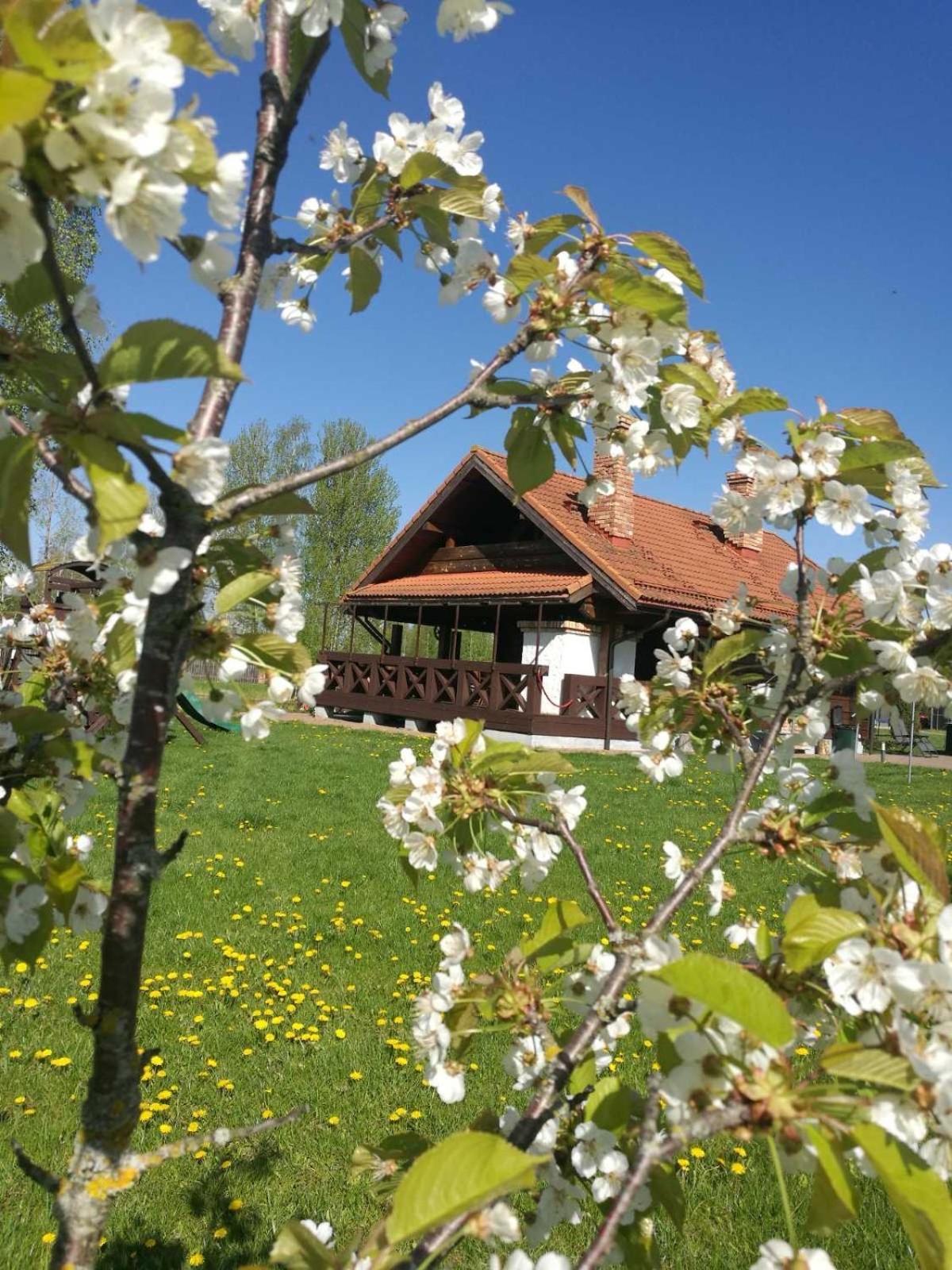Séjour à la campagne Skliausciu Laisvalaikio Centras Skliausciai